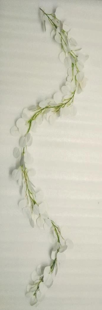 Eucliptus Big Creeper x1 210cm